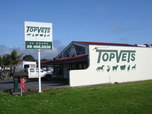 TopVets Kaitaia