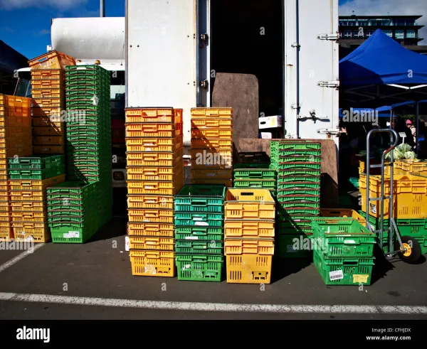 Bulk Bin Food Market