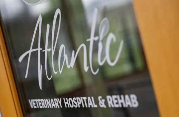 Atlantic Veterinary Hospital