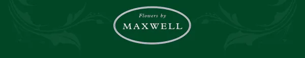 Flowers by Maxwell