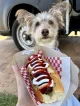 Vegan Streetfood