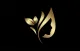 eva organic hair & beauty salon