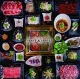 HOT and HOT Hot Pot