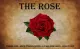 The Rose Tea and Flowers