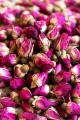 The Rose Tea and Flowers