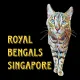 Royal Bengal