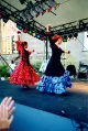 Colmao Flamenco