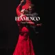 Colmao Flamenco