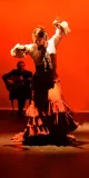 Colmao Flamenco