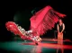 Colmao Flamenco