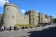 The Windsor