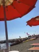 La Lucciola al centro