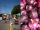 Mar Vista Farmers' Market