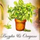 Bazylia i Oregano