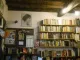 The Open Door Bookshop