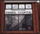 Burnhamthorpe Animal Hospital