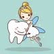 The Tooth Fairy Dentisrty