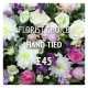 The Market Garden Florist