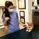 Arapahoe Animal Hospital