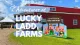 Lucky Ladd Farms