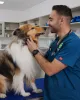 Greencross Vets