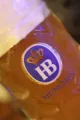 Hofbrauhaus Pub