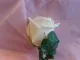 Fab Flowers