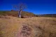 Kununurra Wildlife Gardens