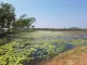 Kununurra Wildlife Gardens