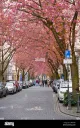 Alt Buschdorf