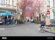 Alt Buschdorf