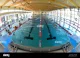 Billardtreff Pool