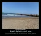 La Brisa del Mar