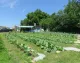 Mill Creek Farmers Market