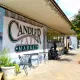 Candler Park Flower Mart