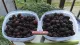 Boysenberry