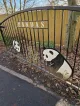 Panda Garden