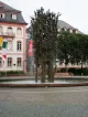 Wolf's Brunnen