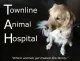 Townline Animal Hospital