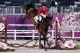 Earn Equestrian & Country Sports