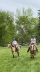 Earn Equestrian & Country Sports