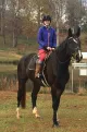 Earn Equestrian & Country Sports