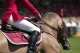 Earn Equestrian & Country Sports