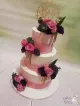 Enjoy Cakes