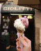 W il Gelato