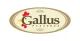 Pizzeria Gallus