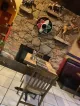 El Legendario Mexican Restaurant