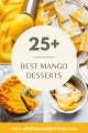 Mango Mango Dessert