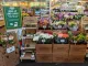 Sprouts Farmers Market