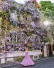 Wisteria Fleuriste